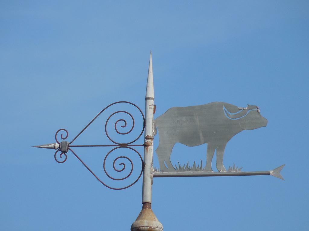 Gite De Carbonies Saint-Félix-de-Lunel Zewnętrze zdjęcie