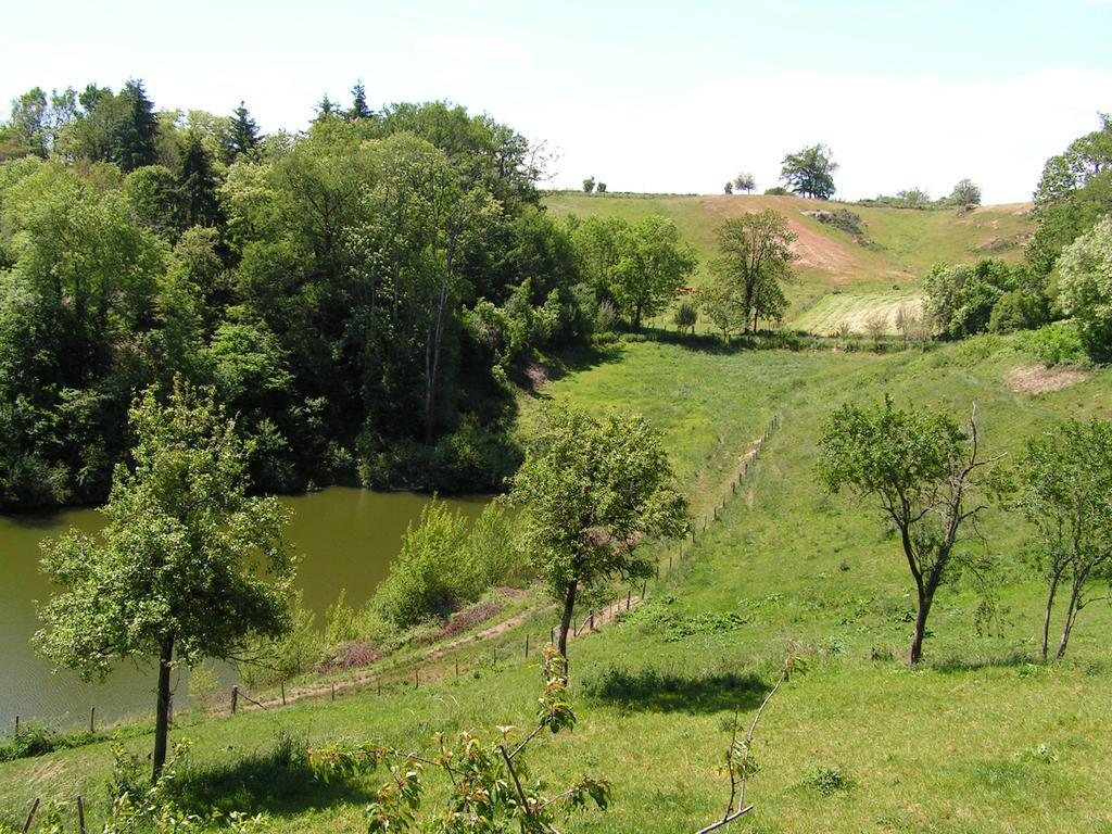 Gite De Carbonies Saint-Félix-de-Lunel Zewnętrze zdjęcie