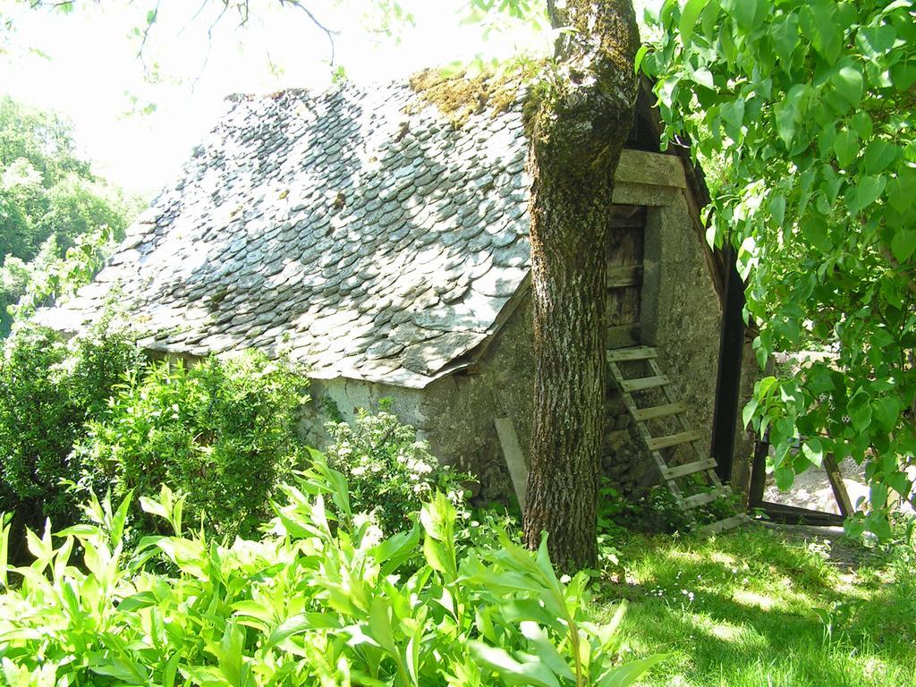Gite De Carbonies Saint-Félix-de-Lunel Zewnętrze zdjęcie